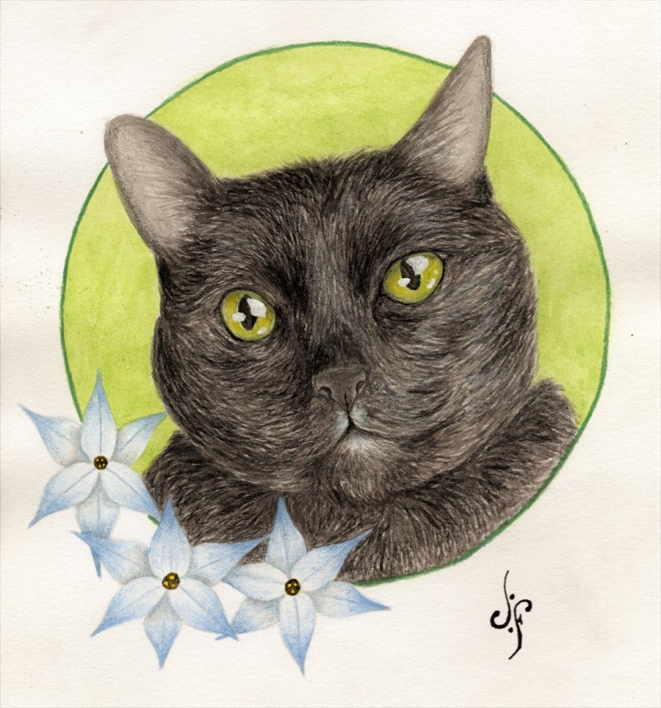 Cat illustration with watercolor 